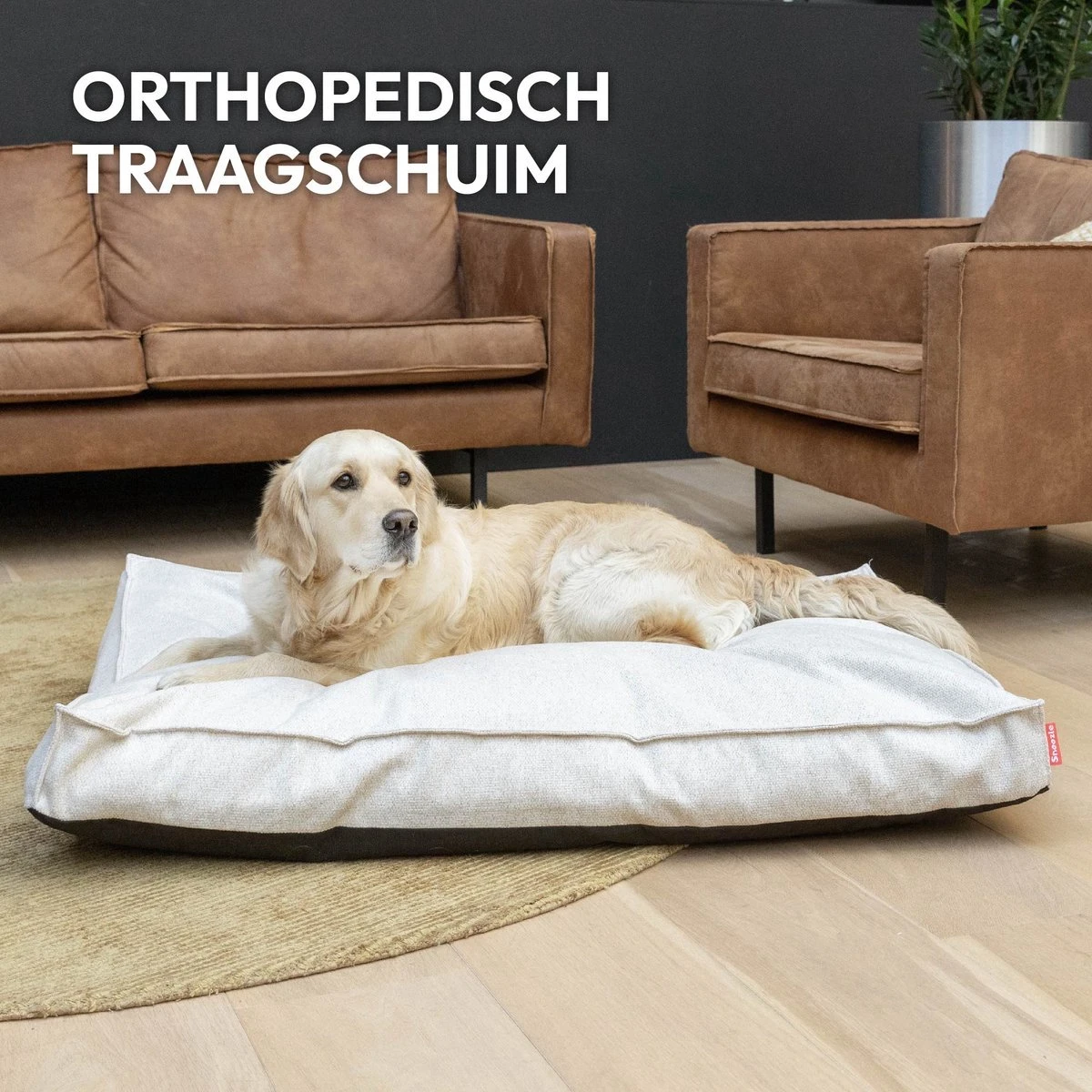 Snoozle Orthopedische Hondenmand - Zacht En Luxe Hondenkussen - Hondenbed - Wasbaar - Hondenmanden - 80 X 55 Cm - Desert Pink 2 Snoozle Orthopedische Hondenmand - Zacht En Luxe Hondenkussen - Hondenbed - Wasbaar - Hondenmanden - 80 X 55 Cm - Desert Pink - Afbeelding 2