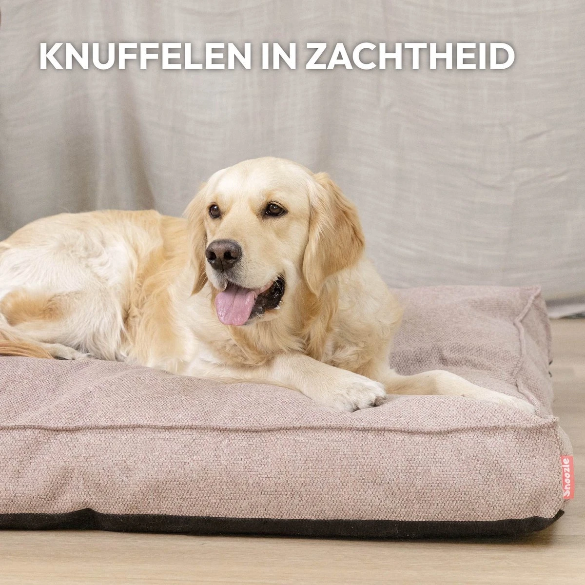 Snoozle Orthopedische Hondenmand - Zacht En Luxe Hondenkussen - Hondenbed - Wasbaar - Hondenmanden - 80 X 55 Cm - Desert Pink 3 Snoozle Orthopedische Hondenmand - Zacht En Luxe Hondenkussen - Hondenbed - Wasbaar - Hondenmanden - 80 X 55 Cm - Desert Pink - Afbeelding 3