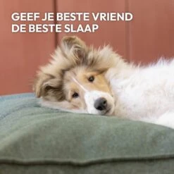 Snoozle Orthopedische Hondenmand - Zacht En Luxe Hondenkussen - Hondenbed - Wasbaar - Hondenmanden - 80 X 55 Cm - Desert Pink 16 Snoozle Orthopedische Hondenmand - Zacht En Luxe Hondenkussen - Hondenbed - Wasbaar - Hondenmanden - 80 X 55 Cm - Desert Pink -Hond Benodigdheden 1200x1200 732