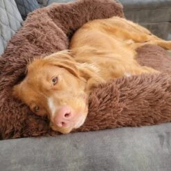 Origineel Hondendeken Voor Bank– Hondenkleed Fluffy – Pluche Hondenbed - Hondenmand Premium - Volledig Afritsbaar -Hond Benodigdheden 1200x1200 738