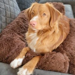 Origineel Hondendeken Voor Bank– Hondenkleed Fluffy – Pluche Hondenbed - Hondenmand Premium - Volledig Afritsbaar -Hond Benodigdheden 1200x1200 740