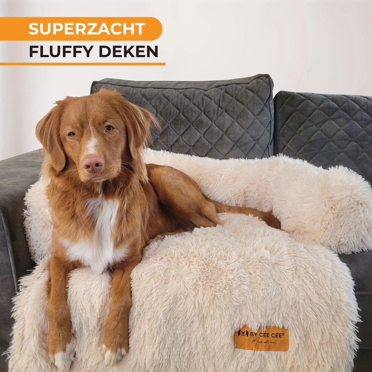 Origineel Hondendeken Voor Bank M – Hondenkleed Fluffy – Pluche Hondenbed - Hondenmand Premium - Volledig Afritsbaar - Beige 1 Origineel Hondendeken Voor Bank M – Hondenkleed Fluffy – Pluche Hondenbed - Hondenmand Premium - Volledig Afritsbaar - Beige