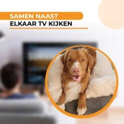 Origineel Hondendeken Voor Bank M – Hondenkleed Fluffy – Pluche Hondenbed - Hondenmand Premium - Volledig Afritsbaar - Beige 9 Origineel Hondendeken Voor Bank M – Hondenkleed Fluffy – Pluche Hondenbed - Hondenmand Premium - Volledig Afritsbaar - Beige -Hond Benodigdheden 1200x1200 742