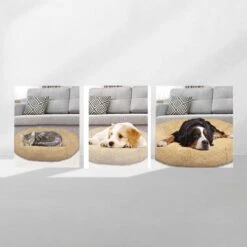 Peaceful Pooch S - Pluizig Hondenbed - 58cm Diameter - Opvouwbaar - In Verschillende Maten. Kattenbed - Wasbaar - Uitneembare Vulling - Ontspant Gewrichten En Spieren - Anti-slip Noppenbodem -Hond Benodigdheden 1200x1200 747