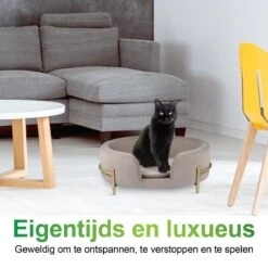 Maxxpro Pet Bed - Huisdieren Tot 80KG - Zacht Fluwelen Kussen - Verhoogd Katten- En Hondenbed - Grijs - 60,5 X 40,5 X 23,5 Cm 9 Maxxpro Pet Bed - Huisdieren Tot 80KG - Zacht Fluwelen Kussen - Verhoogd Katten- En Hondenbed - Grijs - 60,5 X 40,5 X 23,5 Cm -Hond Benodigdheden 1200x1200 765