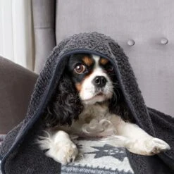 Nobleza 40UWK Hondendeken - Dierenmat - Benchkleed - 120x100cm - Grijs -Hond Benodigdheden 1200x1200 792