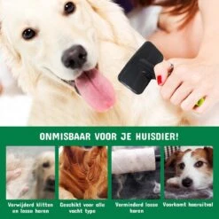 Mister Mill Professionele Set Honden Kattenborstel - Ondervachtkam Plus Slickerborstel -Hond Benodigdheden 1200x1200 80