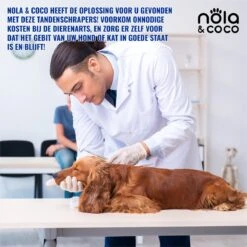 Nola & Coco® Tandsteen Verwijderaar Set Inclusief Bewaardoosje - Tandenkrabber - Set Van Twee - Hond - Kat - Tandenborstel - Tandplak Verwijderen - Tandenstoker - Honden Tanden Schoonmaken - Tandenhaakje - Gebitsreiniging -Hond Benodigdheden 1200x1200 823