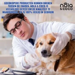 Nola & Coco® Tandsteen Verwijderaar Set Inclusief Bewaardoosje - Tandenkrabber - Set Van Twee - Hond - Kat - Tandenborstel - Tandplak Verwijderen - Tandenstoker - Honden Tanden Schoonmaken - Tandenhaakje - Gebitsreiniging -Hond Benodigdheden 1200x1200 824