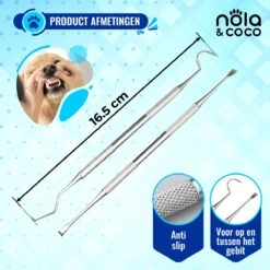 Nola & Coco® Tandsteen Verwijderaar Set Inclusief Bewaardoosje - Tandenkrabber - Set Van Twee - Hond - Kat - Tandenborstel - Tandplak Verwijderen - Tandenstoker - Honden Tanden Schoonmaken - Tandenhaakje - Gebitsreiniging -Hond Benodigdheden 1200x1200 825