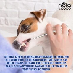 Nola & Coco® Tandsteen Verwijderaar Set Inclusief Bewaardoosje - Tandenkrabber - Set Van Twee - Hond - Kat - Tandenborstel - Tandplak Verwijderen - Tandenstoker - Honden Tanden Schoonmaken - Tandenhaakje - Gebitsreiniging -Hond Benodigdheden 1200x1200 826
