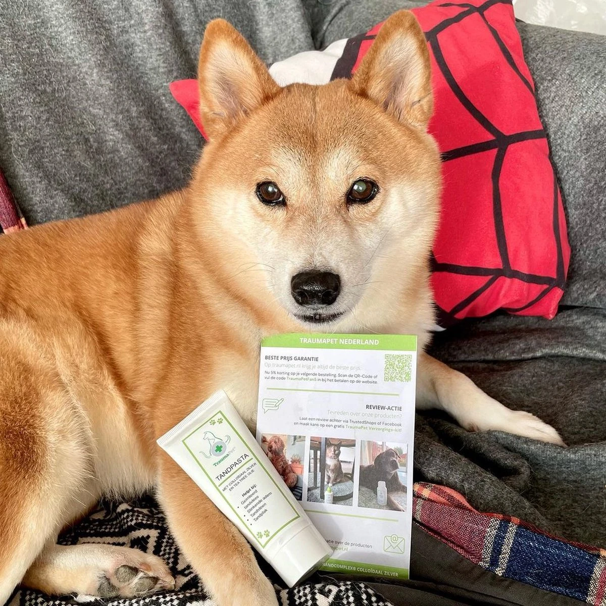 TraumaPet Tandpasta Met Colloïdaal Zilver Voor Dieren | Met Vleessmaak | Bij Stinkende Adem | Tandplak | Geïrriteerd Tandvlees | Tandsteen 2 TraumaPet Tandpasta Met Colloïdaal Zilver Voor Dieren | Met Vleessmaak | Bij Stinkende Adem | Tandplak | Geïrriteerd Tandvlees | Tandsteen - Afbeelding 2