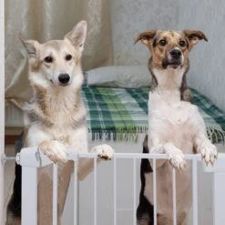 Nobleza 47B4V - Hondenhek - Metaal - H76 X L75-82 Cm - Wit -Hond Benodigdheden 1200x1200 849