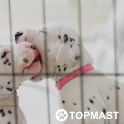 Topmast Puppyren Uitvouwbaar - Zwart - 560 Cm Omtrek - 60 Cm Hoog - Opvouwbaar XL - Hondenren 7 Topmast Puppyren Uitvouwbaar - Zwart - 560 Cm Omtrek - 60 Cm Hoog - Opvouwbaar XL - Hondenren -Hond Benodigdheden 1200x1200 865