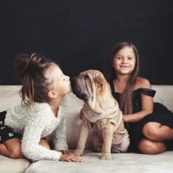 Relaxdays Puppyren - Hondenren - Puppykennel - Konijnenren - Bodem - Metaal - Div. Grootte - M -Hond Benodigdheden 1200x1200 897