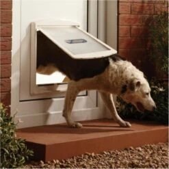Petsafe 760 Hondenluik - L - Wit - 37 X 31,4 Cm 25 Petsafe 760 Hondenluik - L - Wit - 37 X 31,4 Cm -Hond Benodigdheden 1200x1200 979