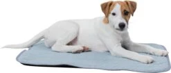 Trixie Junior Ligmat Fresh Lichtblauw - 60X50 CM 18 Trixie Junior Ligmat Fresh Lichtblauw - 60X50 CM -Hond Benodigdheden 1200x512