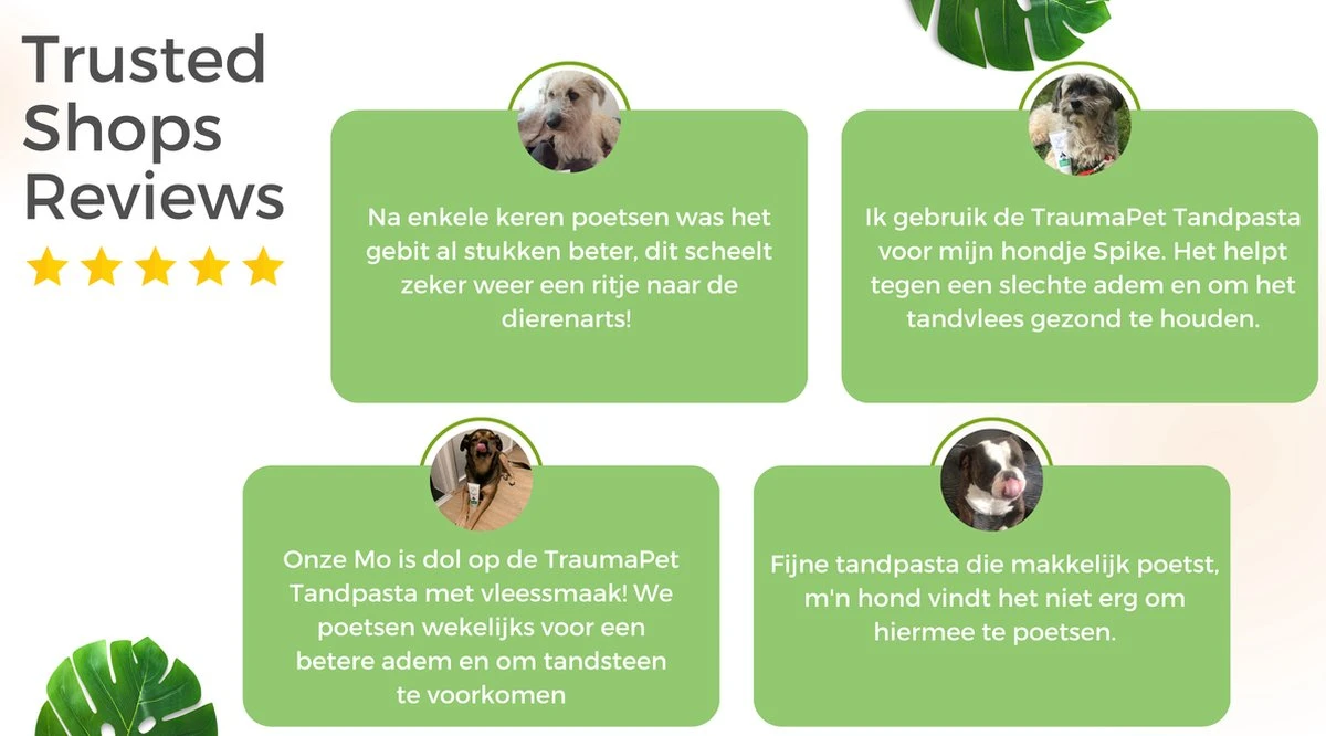 TraumaPet Tandpasta Met Colloïdaal Zilver Voor Dieren | Met Vleessmaak | Bij Stinkende Adem | Tandplak | Geïrriteerd Tandvlees | Tandsteen 3 TraumaPet Tandpasta Met Colloïdaal Zilver Voor Dieren | Met Vleessmaak | Bij Stinkende Adem | Tandplak | Geïrriteerd Tandvlees | Tandsteen - Afbeelding 3