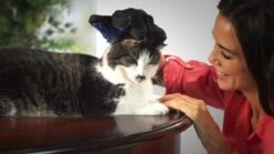 Vacht Verzorgingsborstel Voor Huisdieren - Blauw - LimitedDeals - Voor Honden Katten Konijnen Paarden - Tevens Massage Handschoen Voor Dieren! - Goed Voor De Verzorging Van De Vacht -Hond Benodigdheden 1200x674