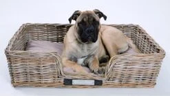 Happy-House Rieten Hondenmand - XL - 90 X 70 Cm Incl Kussen -Hond Benodigdheden 1200x678 2