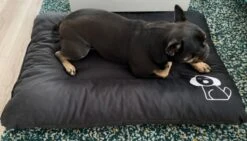 Hondenkussen XXXL -Donkergrijs - 85 X 120 X 14 -Hond Benodigdheden 1200x685