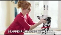 Beaphar Tandpasta - 100 Gr -Hond Benodigdheden 1200x697 1