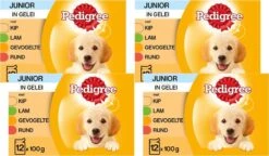 Pedigree Pouch Junior Multipack - Hondenvoer - 4 X 12x100 G 5 Pedigree Pouch Junior Multipack - Hondenvoer - 4 X 12x100 G -Hond Benodigdheden 1200x701