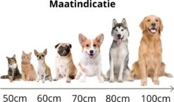 Behave Donut Hondenmand - Hondenkussen - Hondenbed - Kattenmand - Fluffy - Donut - 50cm - Beige 10 Behave Donut Hondenmand - Hondenkussen - Hondenbed - Kattenmand - Fluffy - Donut - 50cm - Beige -Hond Benodigdheden 1200x706 2