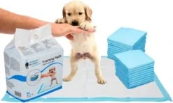 Mr. Poop Toodeloo -Puppy Pads - Training Pads - Maat S: 45 X 33cm - 30 Stuks