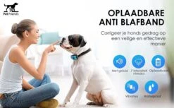PetFriends Anti Blafband Zonder Schok - Gratis Hondenfluit - USB Oplaadbaar - Anti Blaf Apparaat - Opvoedingshalsband - Voor Grote En Kleine Honden -Hond Benodigdheden 1200x742 2