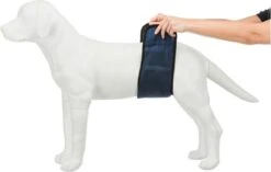Trixie Plasband Voor Reuen Blauw M 37/45cm -Hond Benodigdheden 1200x763 5