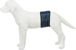 Trixie Plasband Voor Reuen Blauw M 37/45cm -Hond Benodigdheden 1200x790 3