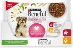 Beneful Pouch - Hondenvoer Kip & Rund In Saus - 40 X 100 G -Hond Benodigdheden 1200x796 1