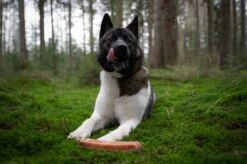 The Original Himalayan Yak Kauwbot Large Puur Fit -Hond Benodigdheden 1200x799 13