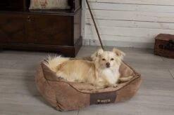 Hondenmand Zacht En Stevig, Anti-Slip En Wasbaar - Scruffs Chester Box Bed - In Grijs En Bruin In Maat S Tot XL - Kleur: Grijs, Maat: Extra Large -Hond Benodigdheden 1200x799 16
