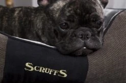 Hondenmand Zacht En Stevig, Anti-Slip En Wasbaar - Scruffs Chester Box Bed - In Grijs En Bruin In Maat S Tot XL - Kleur: Grijs, Maat: Extra Large -Hond Benodigdheden 1200x799 18