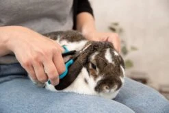 Trixie Gezicht- En Potenschaar Kunststof / Rvs 8 Cm -Hond Benodigdheden 1200x800 13