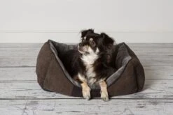 Hondenmand Zacht En Stevig, Anti-Slip En Wasbaar - Scruffs Chester Box Bed - In Grijs En Bruin In Maat S Tot XL - Kleur: Grijs, Maat: Extra Large -Hond Benodigdheden 1200x800 31