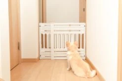 Iris Ohyama Huisdier Bariere PBR-600 - Kunststof - Wit/Beige - Uitschuifbaar -Hond Benodigdheden 1200x800 54