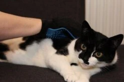 Merkloos Vachtverzorgingshandschoen -Hond Benodigdheden 1200x800 6