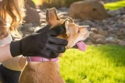 Merkloos Vachtverzorgingshandschoen -Hond Benodigdheden 1200x800 7