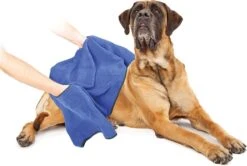 Duvo+ Hondenhanddoek 70 X 100 Cm -Hond Benodigdheden 1200x808