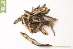 Bellobox - Beloningsbox - Hondensnacks - 100% Natuurlijk - Trainingssnacks - Cadeaubox -Hond Benodigdheden 1200x811