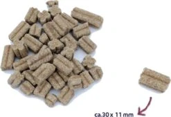 Renske Mighty Omega Plus Zalm Geperst Hondenvoer 15 Kg -Hond Benodigdheden 1200x820