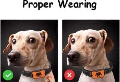 Merkloos Anti Blafband Voor Honden Blafband Anti Blaf Apparaat Blafband Zonder Schok - Diervriendelijk -Hond Benodigdheden 1200x822 2