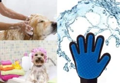 Vacht Verzorgingsborstel Voor Huisdieren - Blauw - LimitedDeals - Voor Honden Katten Konijnen Paarden - Tevens Massage Handschoen Voor Dieren! - Goed Voor De Verzorging Van De Vacht -Hond Benodigdheden 1200x825
