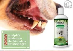 Easy Mondwater Voor Honden - 237 Ml - Tegen Stinkende Adem - Tandplak - Tandsteen - Tandvleesproblemen -Hond Benodigdheden 1200x852 5
