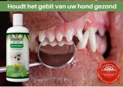 Easy Mondwater Voor Honden - 237 Ml - Tegen Stinkende Adem - Tandplak - Tandsteen - Tandvleesproblemen -Hond Benodigdheden 1200x852 6