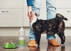 OxyFresh Pet Mondwater Hond En Kat. Helpt Tegen Tandsteen, Plak En Vieze Ademgeurtjes -Hond Benodigdheden 1200x864 6
