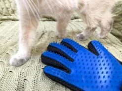 Vacht Verzorgingsborstel Voor Huisdieren - Blauw - LimitedDeals - Voor Honden Katten Konijnen Paarden - Tevens Massage Handschoen Voor Dieren! - Goed Voor De Verzorging Van De Vacht -Hond Benodigdheden 1200x897